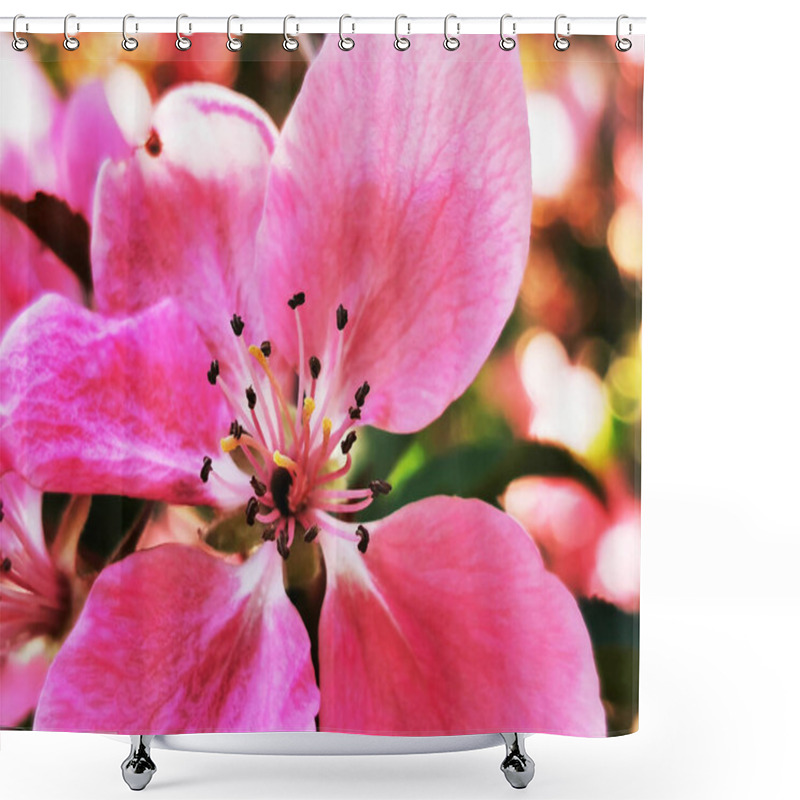 Personality  Delicate Pink Petals Open To Reveal Intricate Details Of The Flower's Structure In A Lush Garden During Spring. The Vibrant Colors Highlight Nature's Beauty At Its Best. Shower Curtains