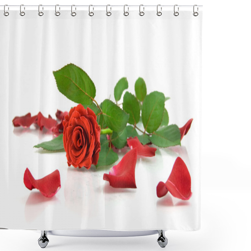 Personality  Red Rose On The White Shower Curtains