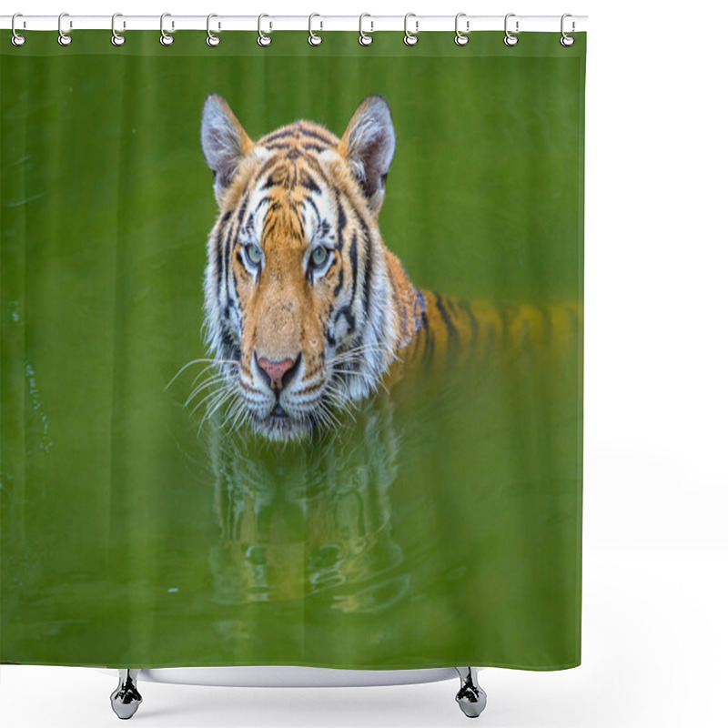 Personality  Tiger Face Shower Curtains