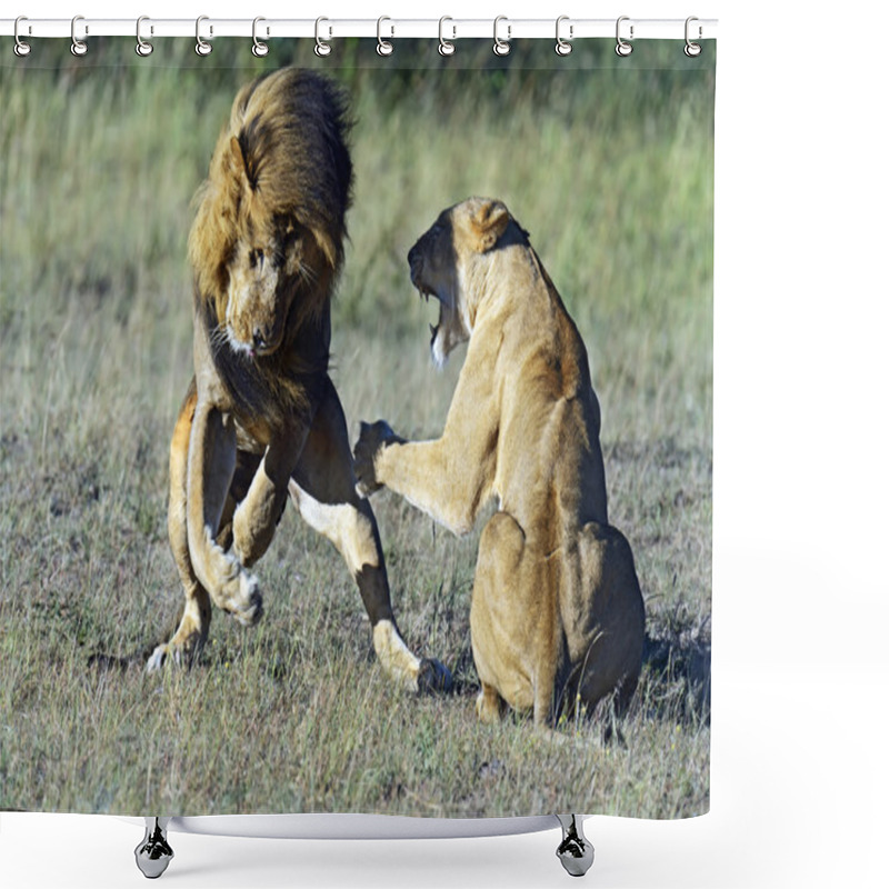 Personality  Lions Shower Curtains