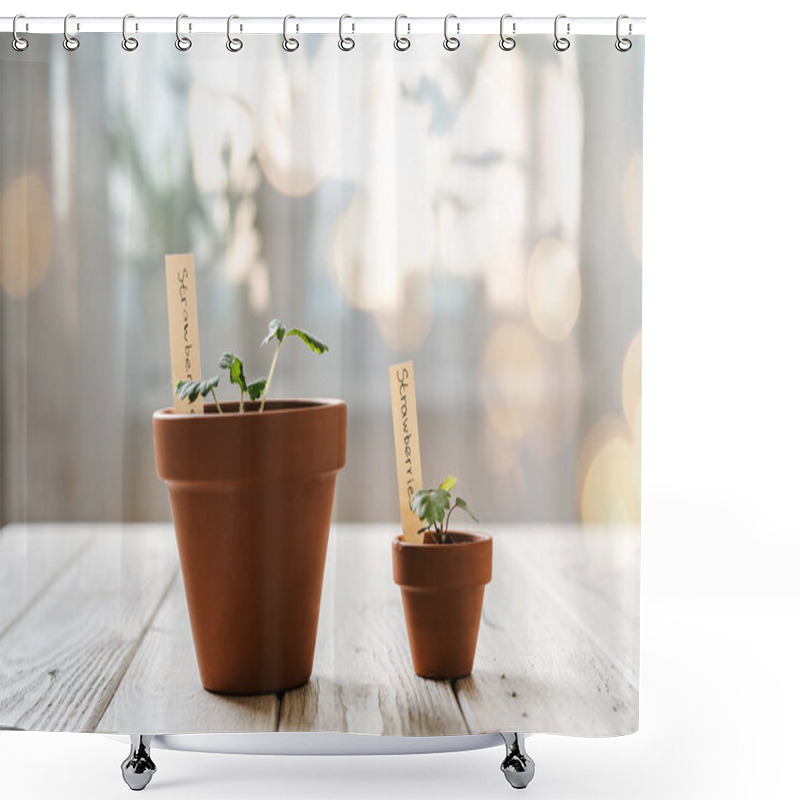 Personality  Seeding And Potted Plant Shower Curtains