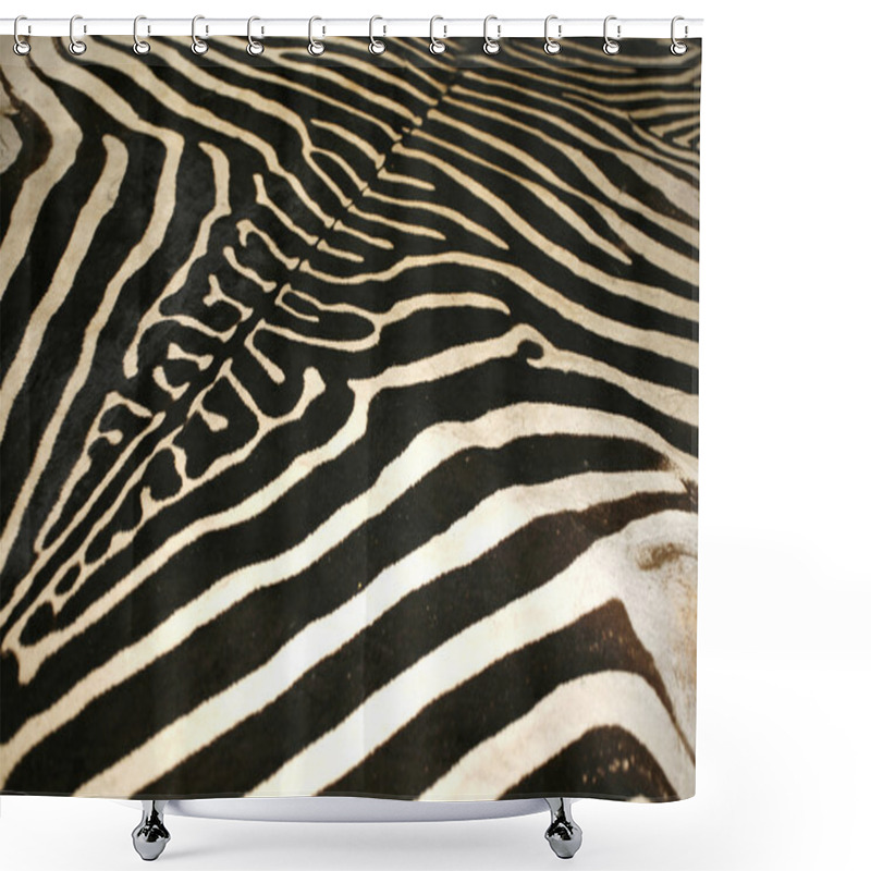 Personality  Black And White Texture Pattern Of An Original Zebra Skin  Shower Curtains