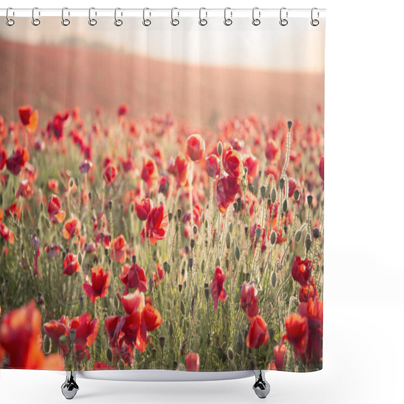 Personality  Stunning Poppy Field Landscape Under Summer Sunset Sky With Cros Shower Curtains