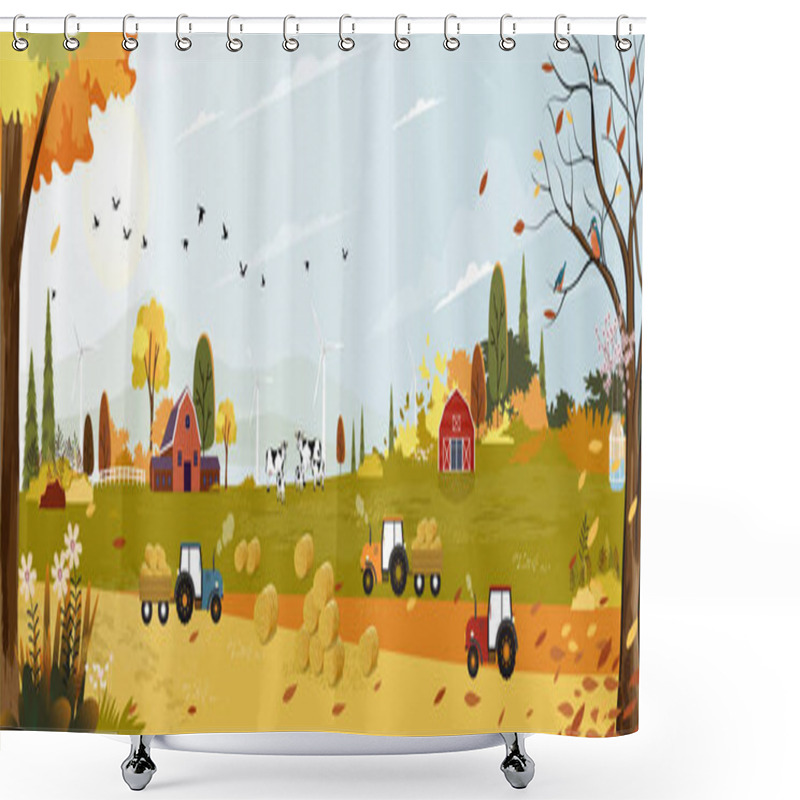 Personality  Autumn Landscaps With Harvet Fram Fields Cows, Trators,wooden Barn On Hills, Natural Foliage Background In Fall Seson With Panoramic View Of Eco Village With Grass Land In Sunny Day  Shower Curtains