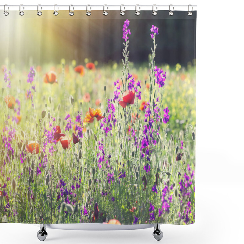 Personality  Beautiful Meadow Flowers Shower Curtains