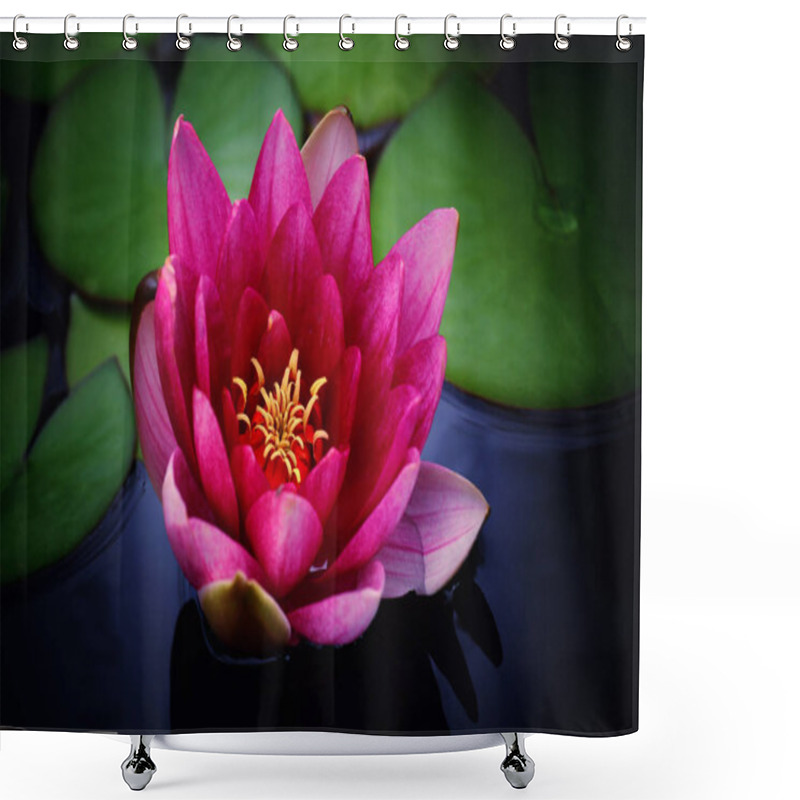 Personality  Pink Water Lily Garden  Shower Curtains