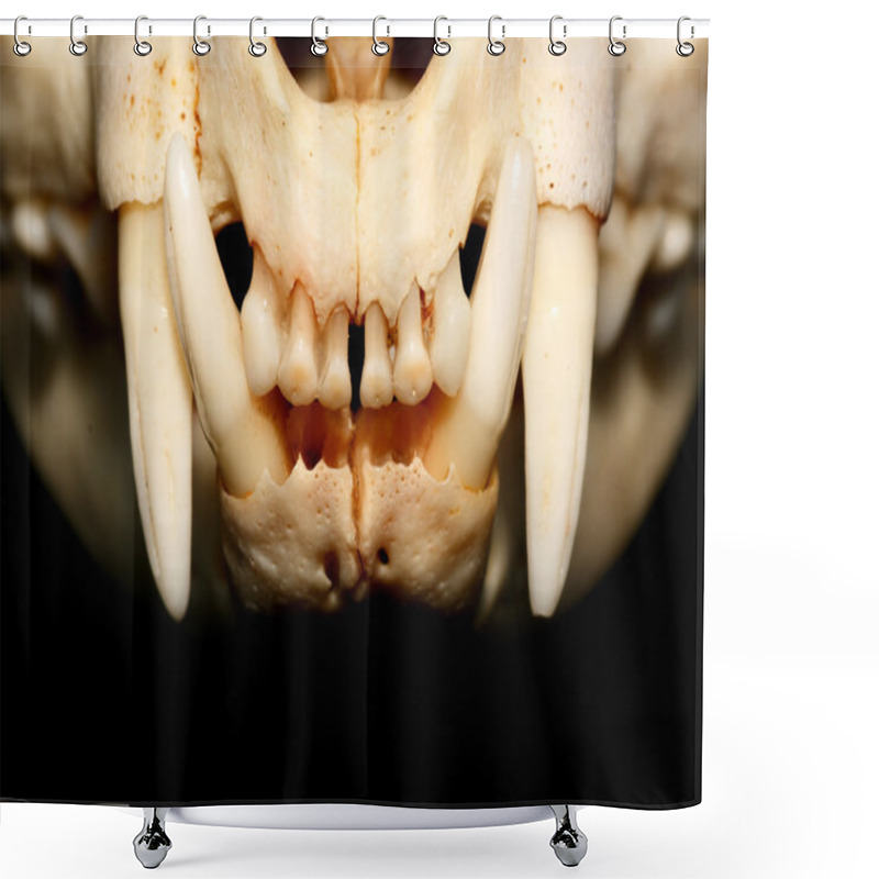 Personality  Cat Skull Shower Curtains