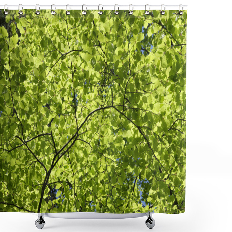 Personality  Green Leaves Shower Curtains