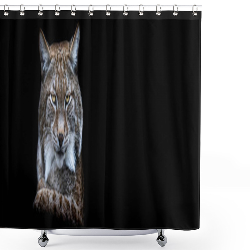 Personality  Template Of A Lynx With A Black Background Shower Curtains