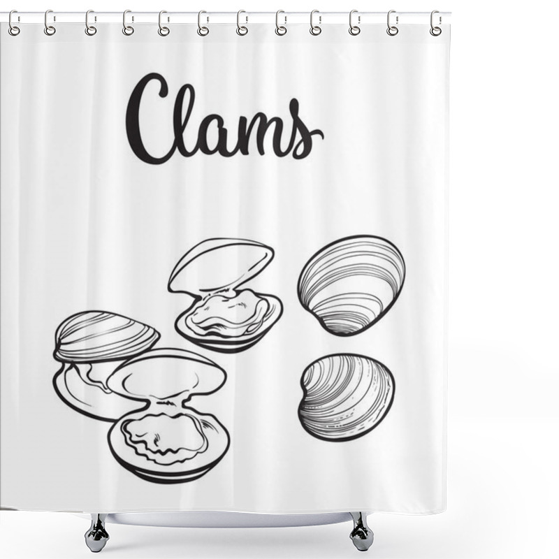 Personality  Raw Clams Isolated On White Background Shower Curtains