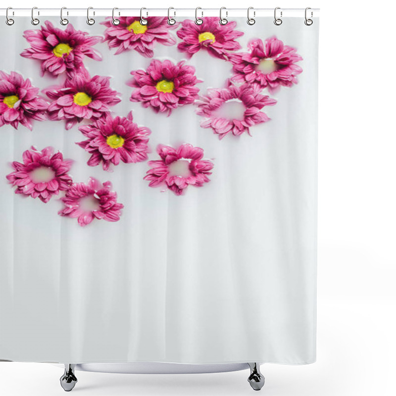 Personality  Top View Of Beautiful Pink Chrysanthemum Flowers In Milk Backdrop Shower Curtains