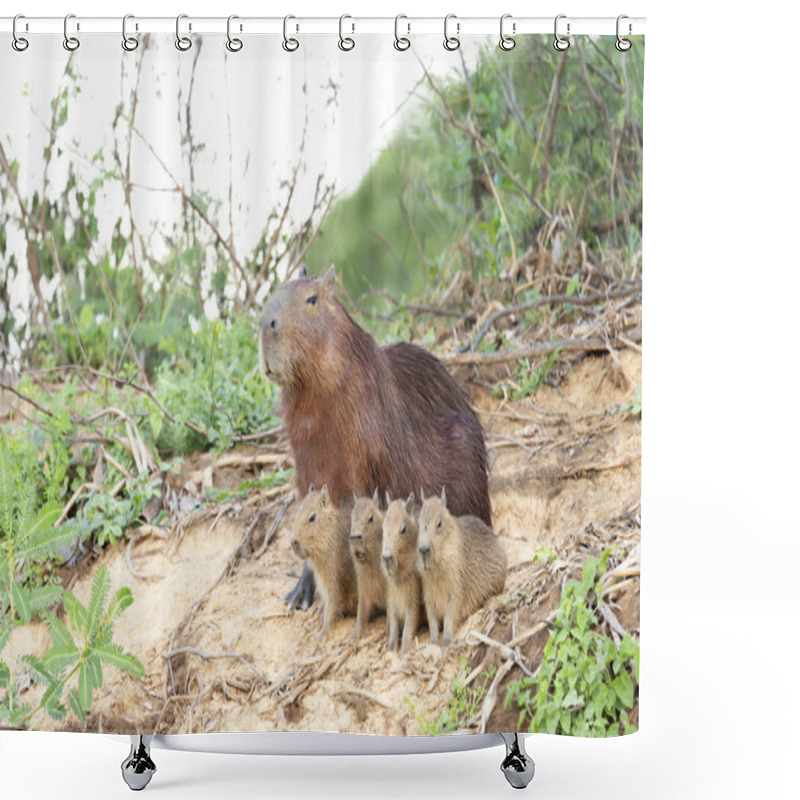 Personality  Capybara Mother With Four Pups Sitting On A River Bank Shower Curtains