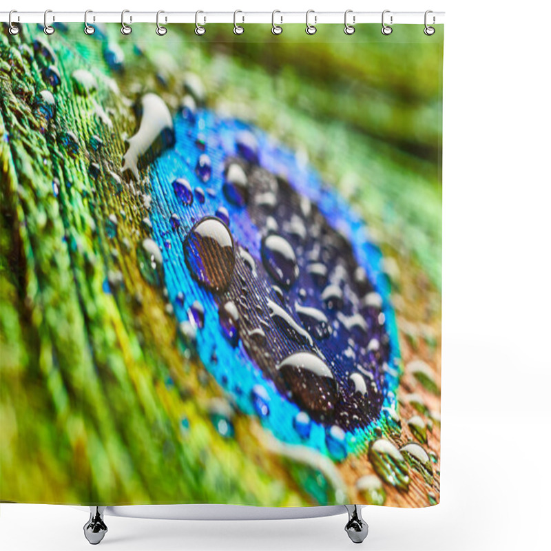 Personality  Peacock Feather With Drops Shower Curtains