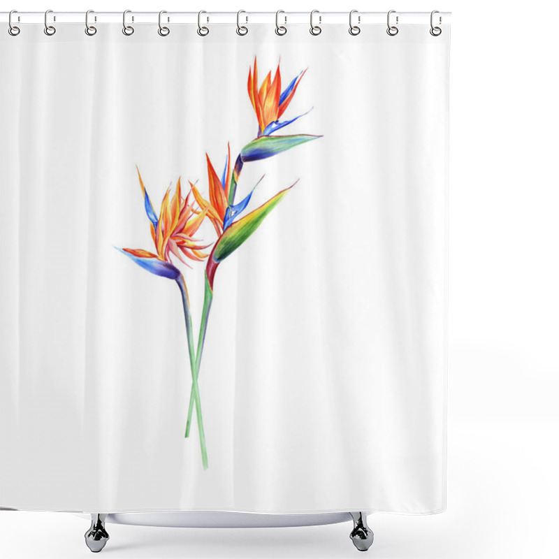 Personality  Watercolor Bouquets With Tropical Plants, Leaves And Strelitzia Flowers. Great For Valentines, Wedding Invites, Hawaii Birthday And Beach Party Shower Curtains