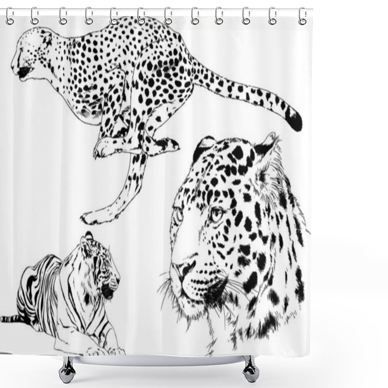 Personality  Set Of Vector Drawings On The Theme Of Predators Tigers Are Drawn By Hand With Ink Tattoo Logos Shower Curtains