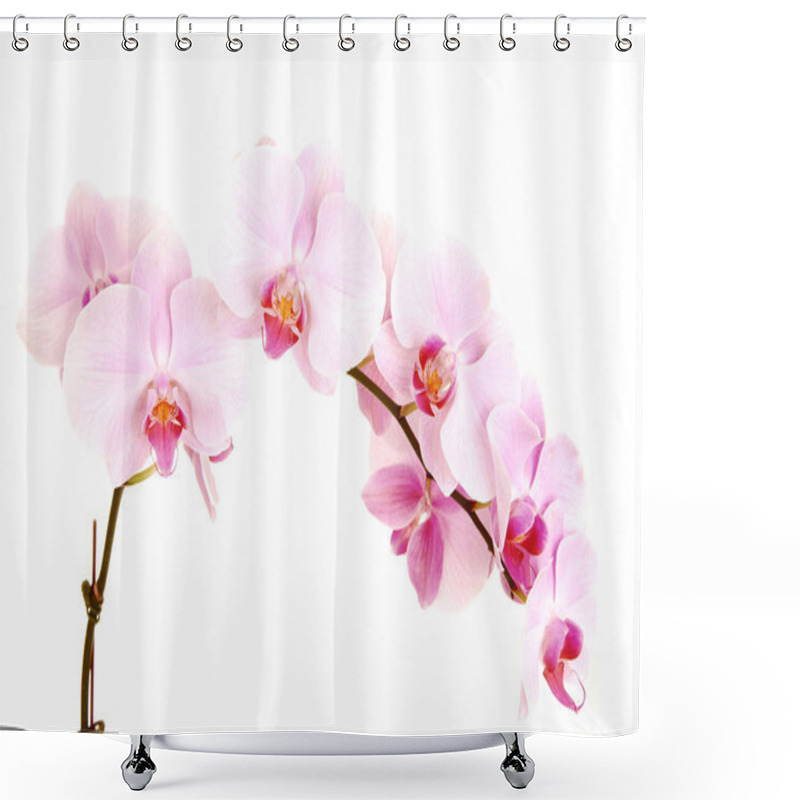 Personality  Stem Of Orchids. Shower Curtains