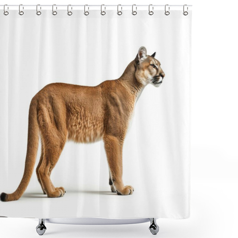 Personality  A Majestic Mountain Lion Stands Elegantly Against A White Background, Showcasing Its Powerful Physique And Striking Features. Shower Curtains