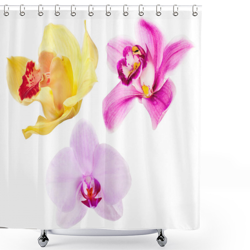 Personality  Three Isolated Orchide Flowers Set Shower Curtains