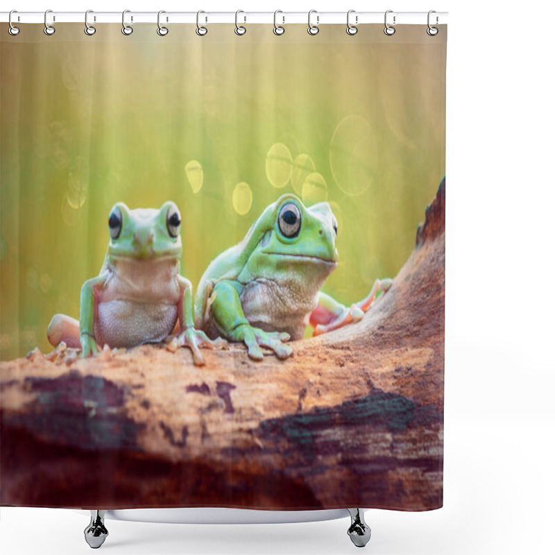 Personality  Dumpy Frog Tree On  A Twigs In Tropical Garden  Shower Curtains