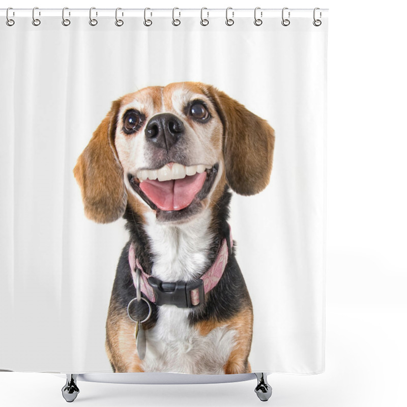 Personality  Beagle With A Big Grin Shower Curtains