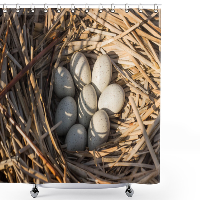 Personality  Bird's Nest In Natural Habitat.Bird's Nest In Natural Habitat. Shower Curtains