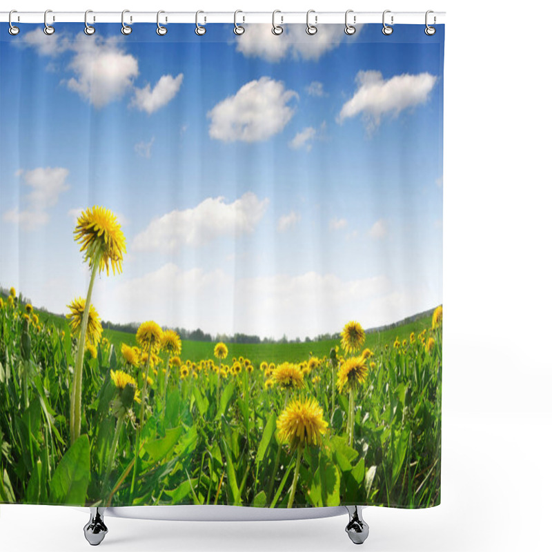 Personality  Dandelions Shower Curtains