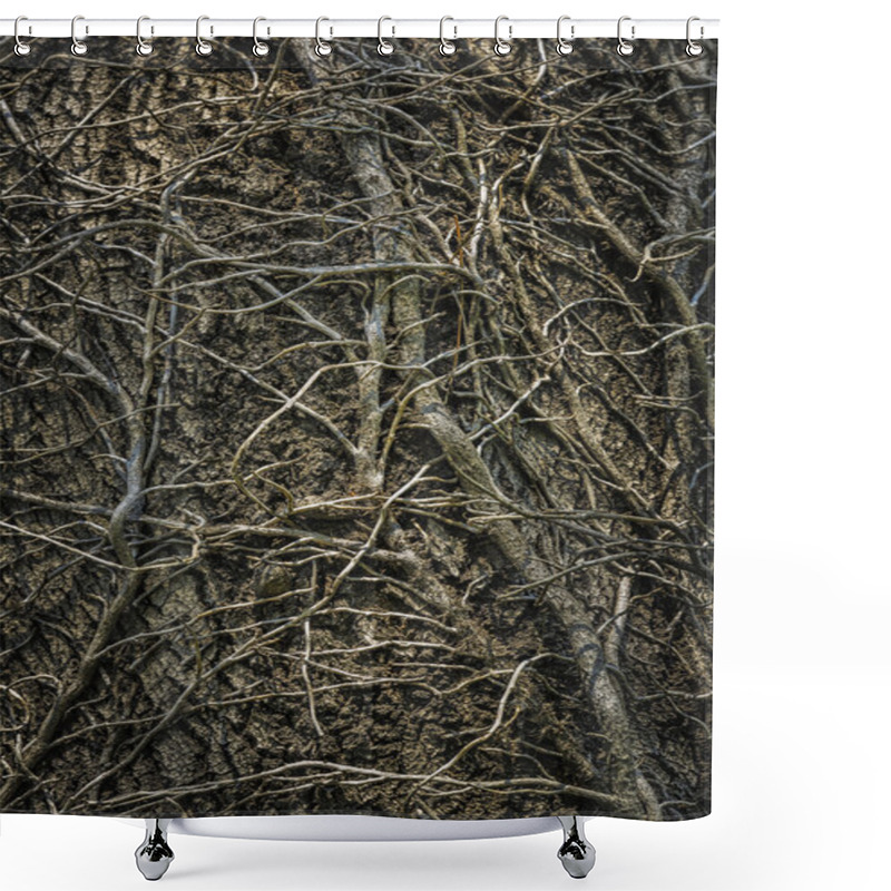 Personality  Twining Leafless Creeping Branches Shower Curtains