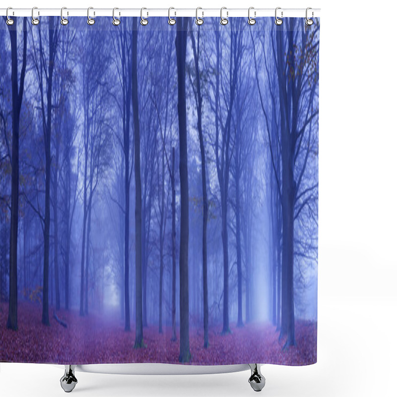 Personality  Two Paths In A Dark And Foggy Forest, The Netherlands Shower Curtains