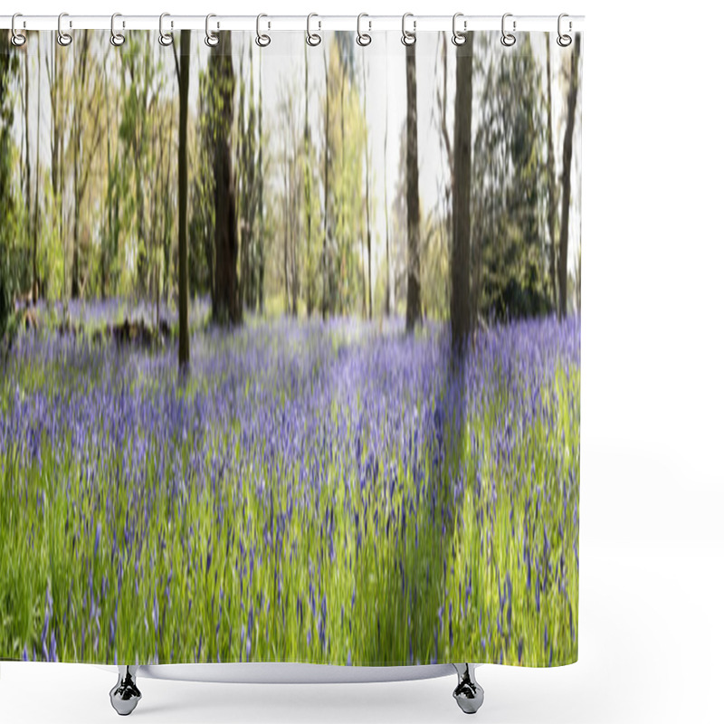 Personality  Bluebells In Wooded Glade Shower Curtains