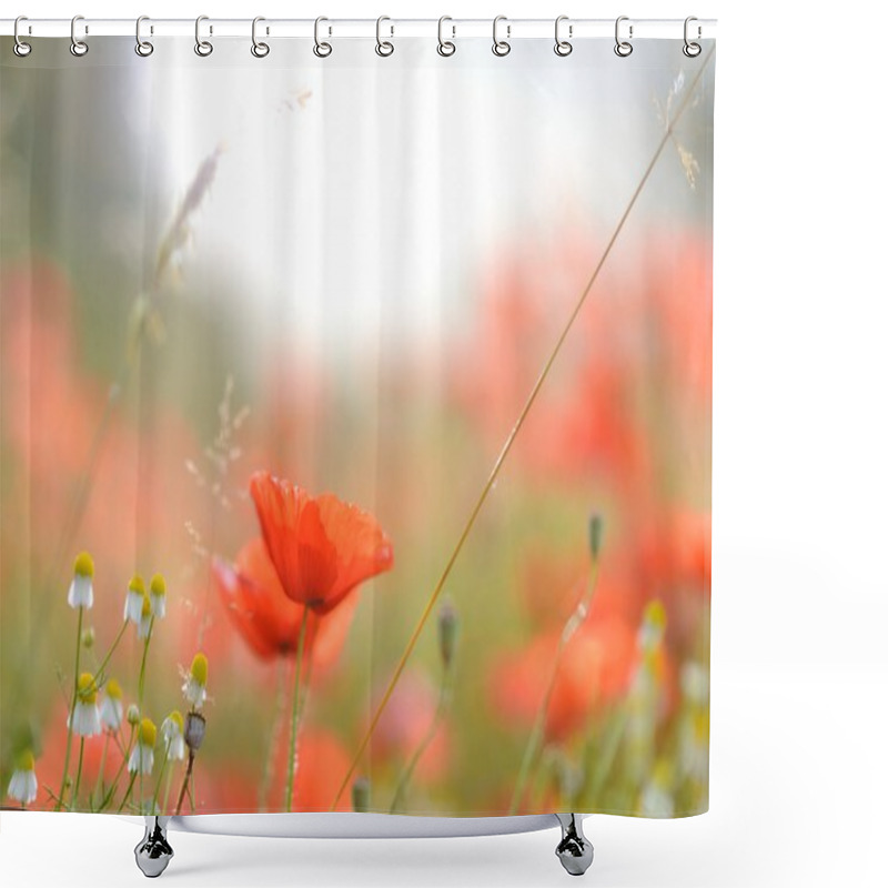 Personality  Red Poppy Field Shower Curtains