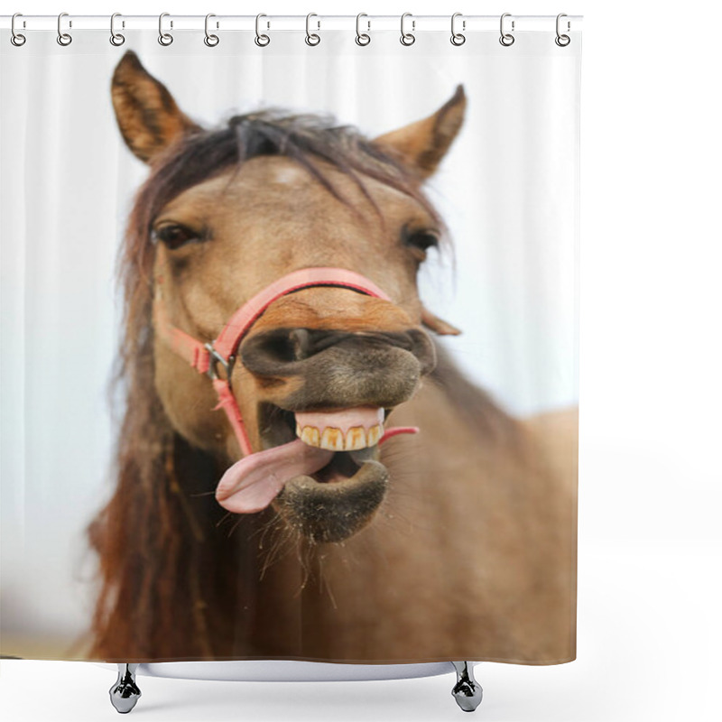 Personality  Funny Closeup Portrait Of Morgan Mare Head And Nose  Shower Curtains