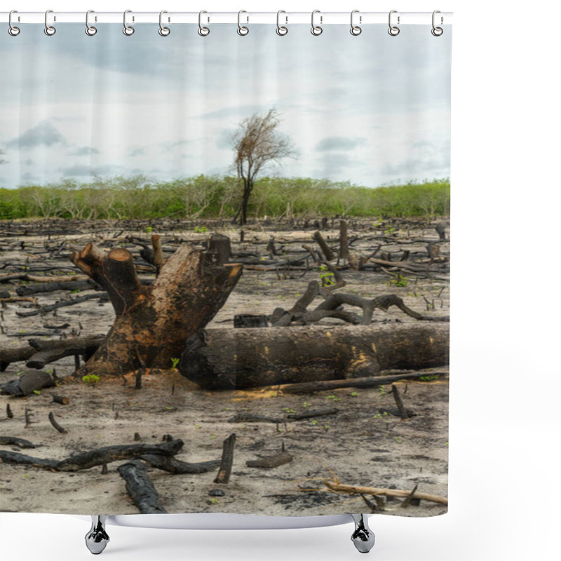 Personality  Deforestation Of Native Forest In Camocim, Ceara, Brazil, On January 25, 2023. Shower Curtains