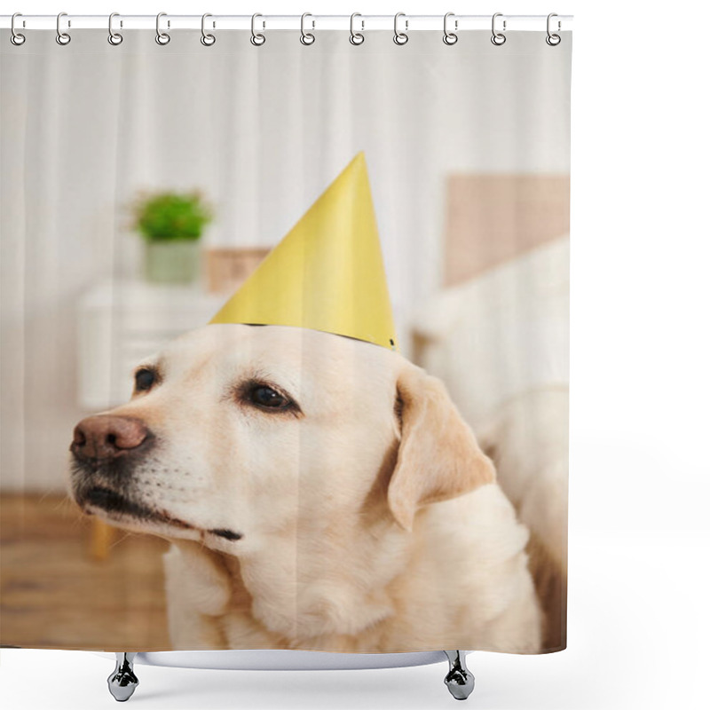 Personality  A Festive White Dog Wears A Vibrant Yellow Party Hat, Adding A Touch Of Joy And Celebration To The Scene. Shower Curtains