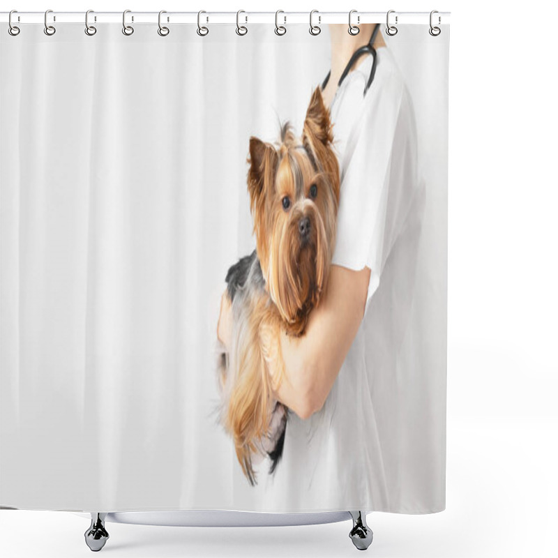 Personality  A Veterinarian Holds A Yorkshire Terrier Dog In His Arms. Veterinary Clinic. White Background, Copy Space, Banner. Shower Curtains