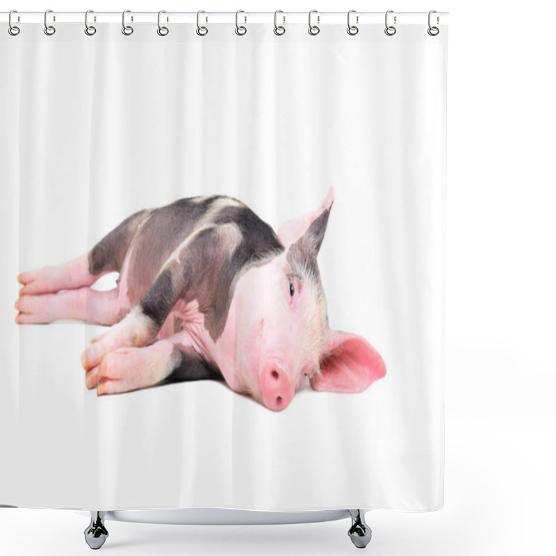 Personality  Cute Little Pig Lying On Its Side Isolated On White Background Shower Curtains