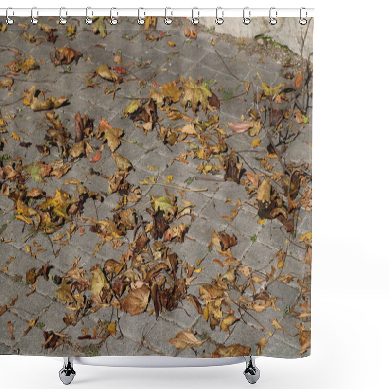 Personality  Autumn Leaves In Various Shades Of Brown And Yellow Cover A Cobblestone Path, Creating A Picturesque And Tranquil Atmosphere On A Sunny Day. Shower Curtains