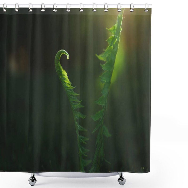 Personality  Close-up View Of Green Fern Leaves Shower Curtains