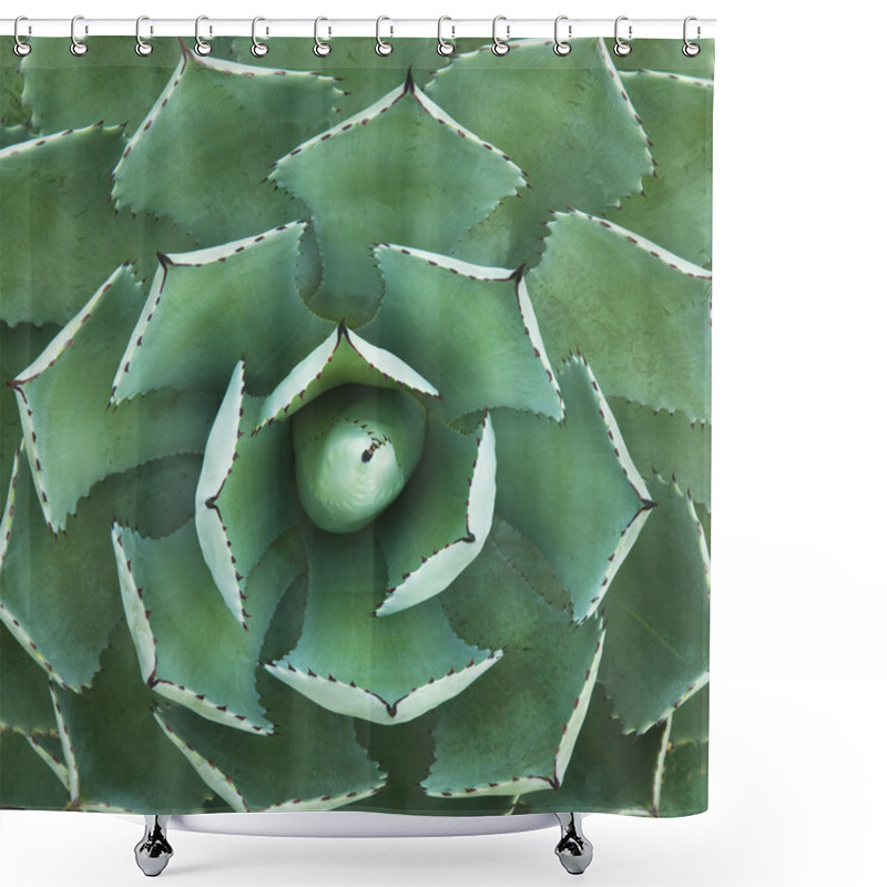 Personality  Cactus Shower Curtains