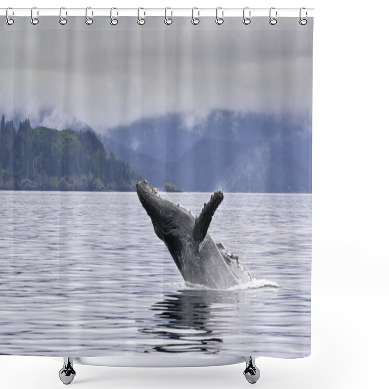 Personality  Breaching Whale In The Alaskan Ocean Shower Curtains