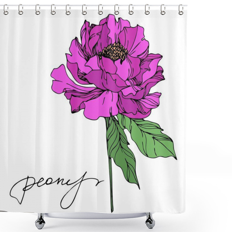 Personality  Peony Floral Botanical Flowers. Black And White Engraved Ink Art. Isolated Peonies Illustration Element. Shower Curtains