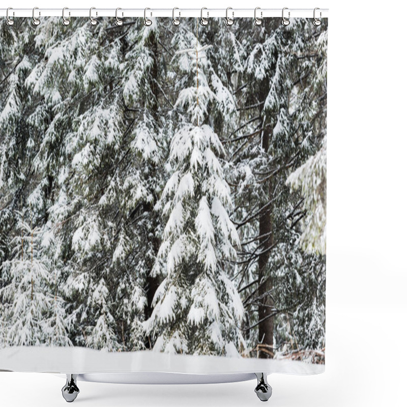 Personality  Pine Trees Covered With Snow In Winter Forest Shower Curtains