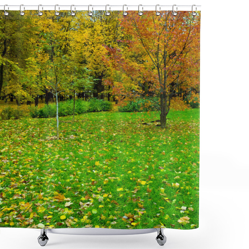 Personality  Beautiful Autumn Park Shower Curtains