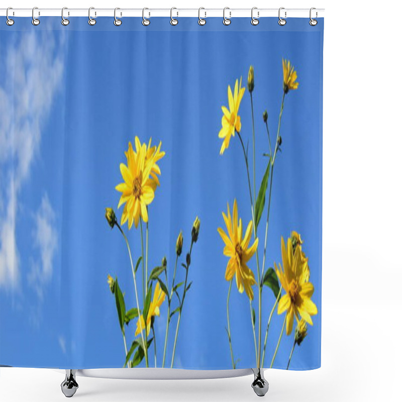 Personality  Yellow Flowers Of A Topinambur In Front Of Blue Sky Shower Curtains