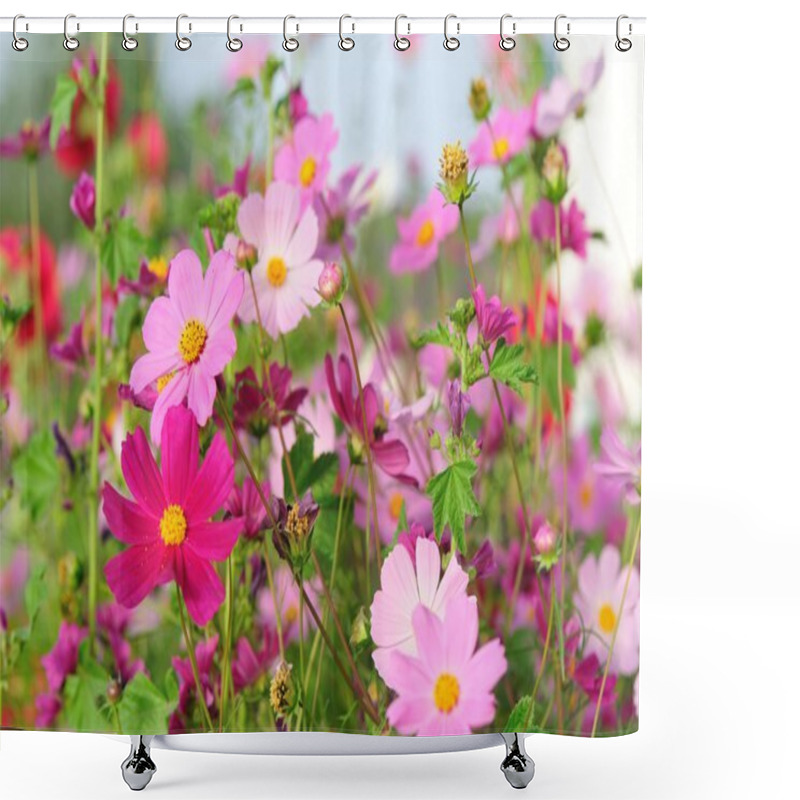 Personality  Beautiful Cosmos Flowers Shower Curtains