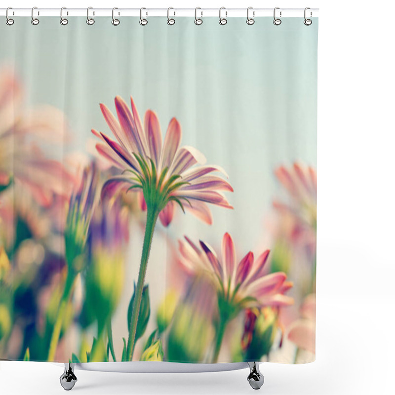 Personality  Daisy Flower Field Shower Curtains