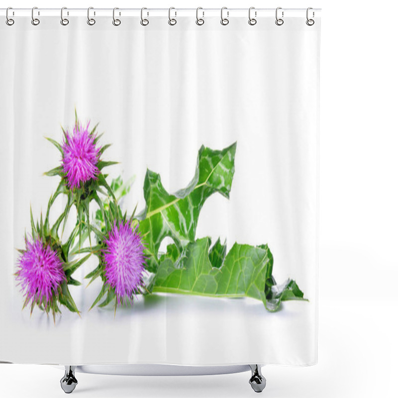 Personality  Silybum Marianum (Milk Thistle) Shower Curtains