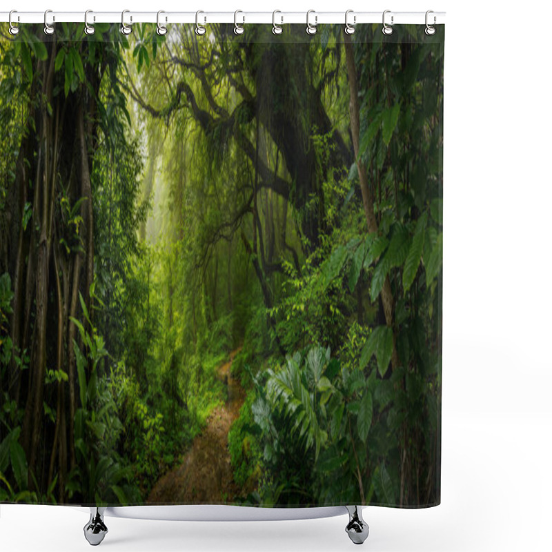 Personality  Lush Botany In The Rainforests Of Costa Rica Shower Curtains