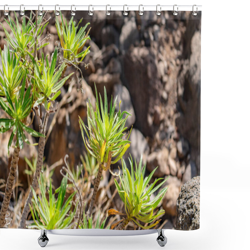 Personality  A Bunch Of Green Plants Growing On A Rocky Hillside. The Plants Are Small And Sparse, But They Are Thriving In The Harsh Environment. Concept Of Resilience And Determination Shower Curtains