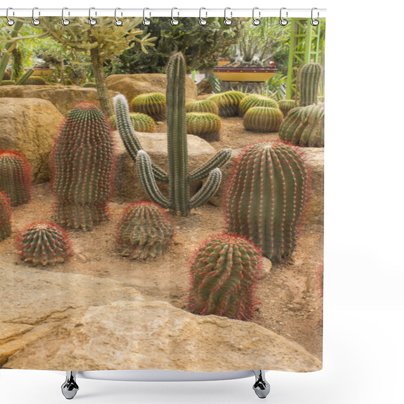 Personality  Cactus On The White Background Shower Curtains