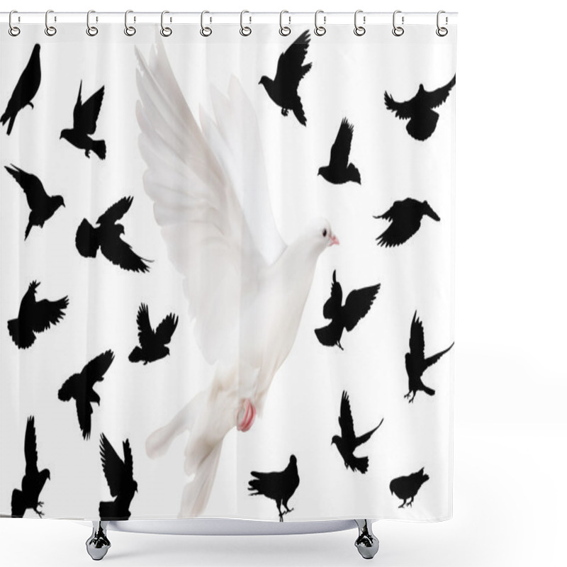 Personality  Nineteen Pigeons Silhouettes Shower Curtains